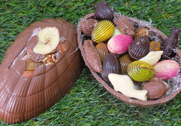 Demi coquille oeuf chocolat