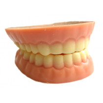 Le dentier au chocolat blanc